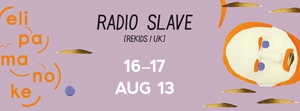 2013-08-16-953bfaa2_radio_slave.jpg