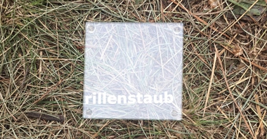 2019-07-27-aeced490_rillenstaub.jpg