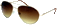 datei_1169824360.gif